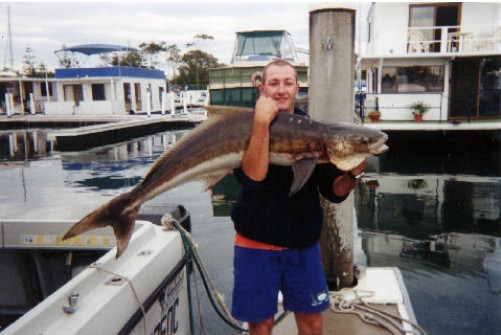 Gold Coast Shark Fishing Photo 3