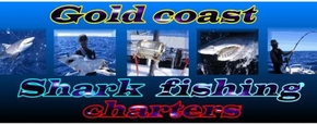 Gold Coast Shark Fishing Charters