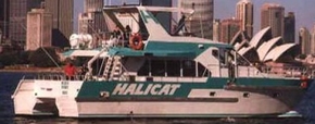 Halicat Tours