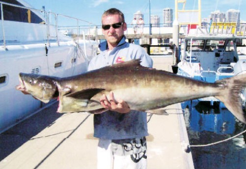 Gold Coast Whiting Fishing - Tips and Techniques - True Blue