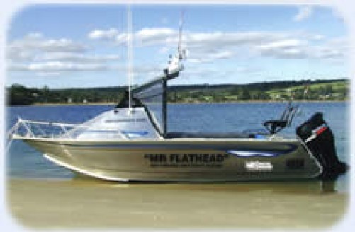 Mr Flathead photo1