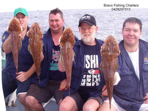 Bravo Fishing photo1