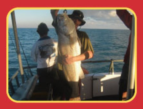 Darwin Red Devil Charters photo1