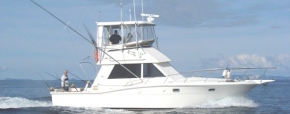 Sunfish Charters Ltd.