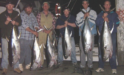 Game Fishing Charters Photo 3